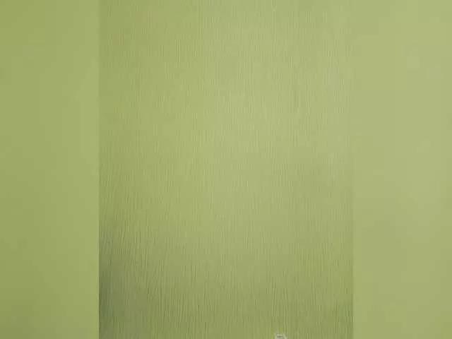 Elia-Elia from BongaCams