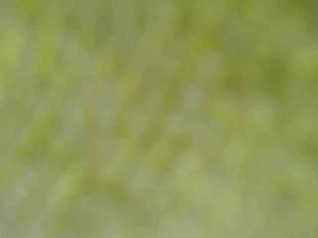 LorennaBrown69 from BongaCams