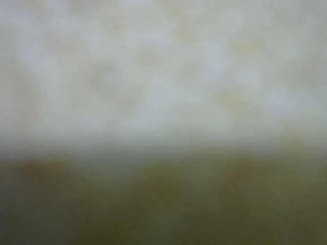 Queenfey from BongaCams