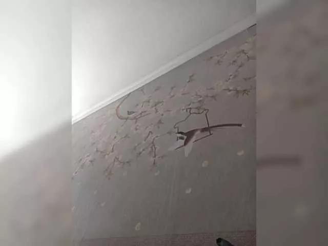 SashaZ1 from BongaCams