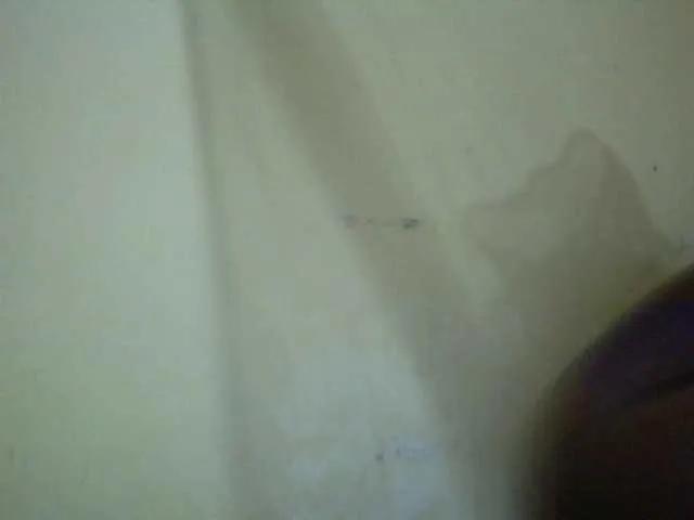 Sassy-Bella from BongaCams is Freechat