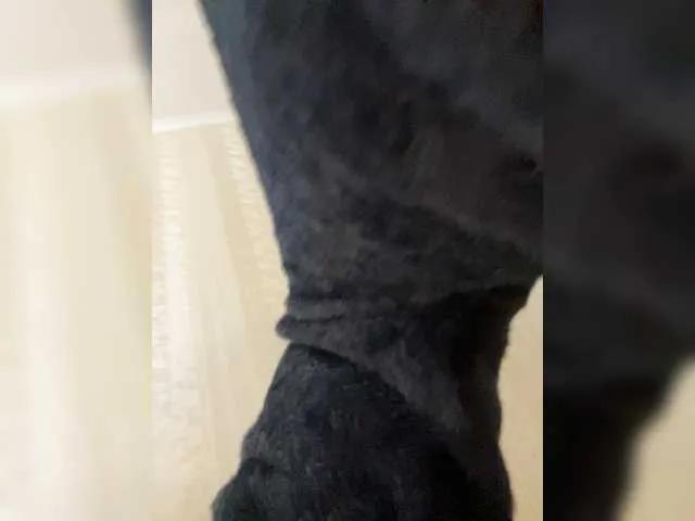 SunshineEmma from BongaCams is Freechat