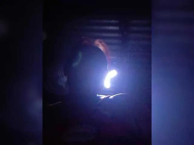 VelvetRose1 from BongaCams