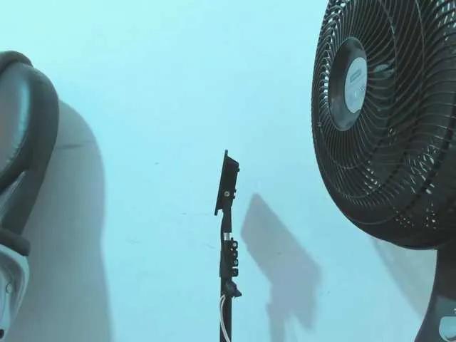 violeta-delavega1 from BongaCams is Freechat