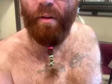 gingerbear3742 from Chaturbate is Freechat