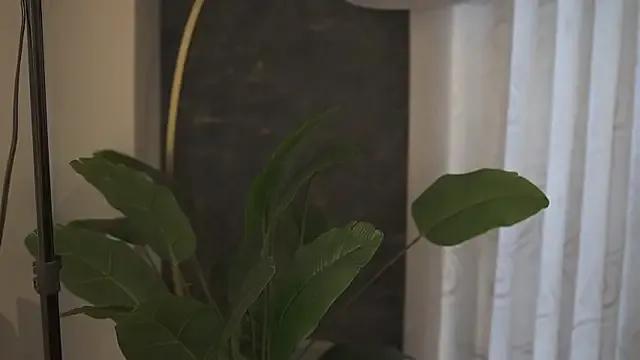 Ariaa_Isabell from StripChat
