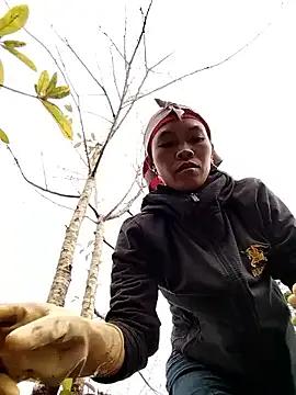 dinnavi from StripChat is Freechat