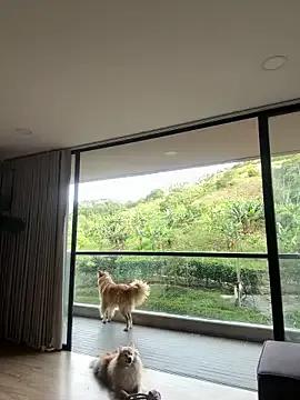 Helenbronwx from StripChat