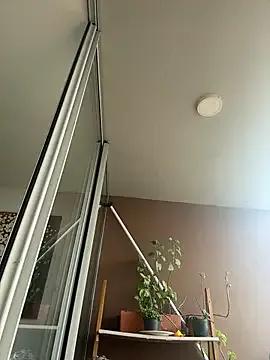 itsdanividarte from StripChat is Freechat