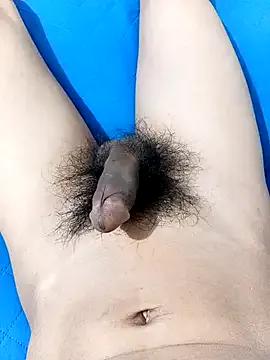 MikaVera from StripChat is Freechat