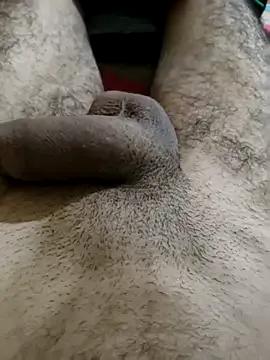 Realverse from StripChat is Freechat