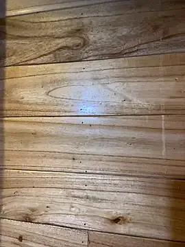 violet-00 from StripChat is Freechat